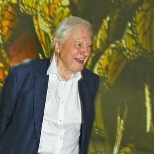 Ο σερ Ντέιβιντ Ατένμπορο πιστεύει πως η νέα ταινία του θα μπορούσε να παίξει καθοριστικό ρόλο στην προστασία του πλανήτη