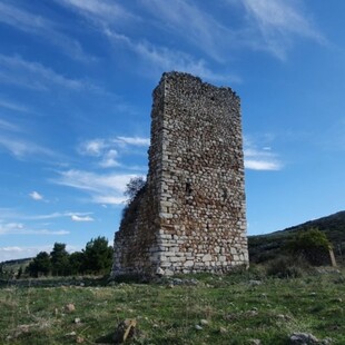 ΑΛΙΑΡΤΟΣ