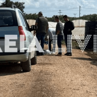 Ηλεία: Ο 24χρονος εργάτης δολοφονήθηκε την ώρα που μάζευε φράουλες 