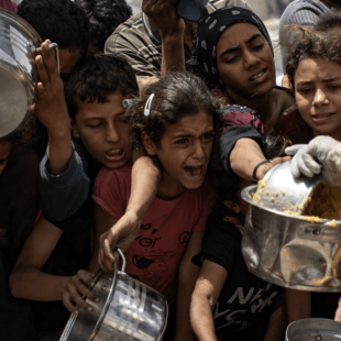 25 δολάρια για βούτυρο και 40 δολάρια για αυγά - Πώς είναι να αναζητάς τροφή στη Γάζα