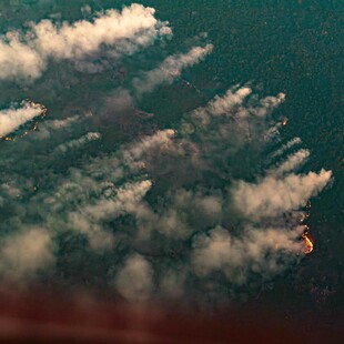 Τα τροπικά δάση καταστράφηκαν με ρυθμούς ρεκόρ το 2024