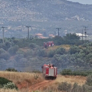 Μαρκόπουλο: Καλύτερη εικόνα από τη φωτιά - Συνεχίζεται η επιχείρηση κατάσβεσης