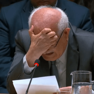 Ηνωμένα Έθνη: Η στιγμή που ο πρέσβης της Παλαιστίνης ξεσπά σε κλάματα κατά τη διάρκεια ομιλίας του για τη Γάζα