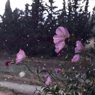 Καιρός: Χάρτες meteo για την αστάθεια - Πού αναμένονται βροχές και καταιγίδες σήμερα