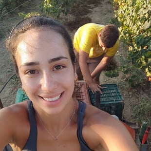 Η Ελένη Νέρουππου άφησε την Αθήνα και βλέπει πια τους κόπους μιας χρονιάς στο Βασιλικό Ευβοίας να ανταμείβονται σε ένα μπουκάλι κρασί