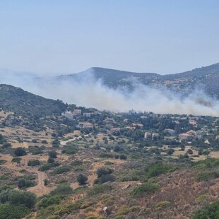 Φωτιά στην Ανάβυσσο: Ενισχύονται οι δυνάμεις - Πάνω από 100 πυροσβέστες στη μάχη