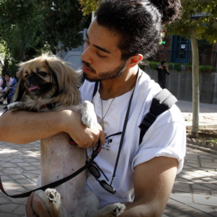 Το Ιράν απαγορεύει τις βόλτες με σκύλους και ετοιμάζει μέτρα για τους παραβάτες