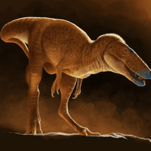 Τυρανόσαυροι: Ο λεπτοκαμωμένος πρόγονος του T-Rex ανατρέπει όσα ξέραμε