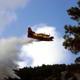Πάτρα: Φωτιά σε δασική έκταση στην περιοχή Κάτω Βελιτσές