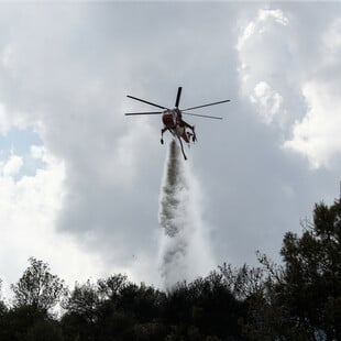 Φωτιά στην Εύβοια κοντά στην Ερέτρια – Μήνυμα 112 προς τους κατοίκους