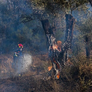 Φωτιά στη Χίο: Πώς θα εξελιχθούν σήμερα οι καιρικές συνθήκες