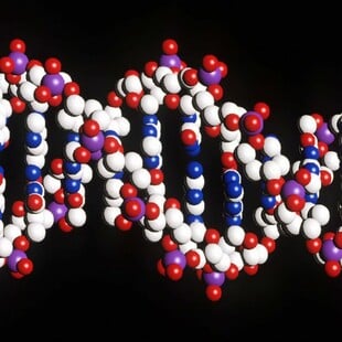 AlphaGenome: Η τεχνητή νοημοσύνη της Google «διαβάζει» τις μεταλλάξεις του DNA