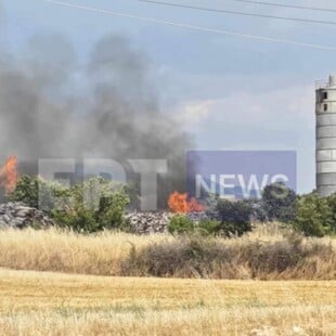 Φωτιά τώρα σε εργοστάσιο ξυλείας στις Σέρρες