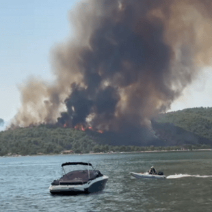 Φωτιά στη Χαλκιδική: Μαίνεται η πυρκαγιά σε δασική έκταση - «Είναι δύσκολη, είναι πυκνό το δάσος»