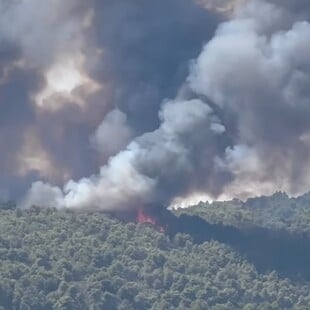 Χαλκιδική: Βελτιωμένη η εικόνα της φωτιάς στη Βουρβουρού 
