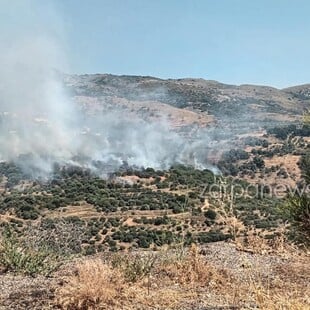 Φωτιά τώρα στον Αγριλέ Χανίων