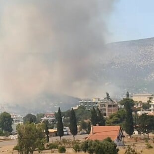 Φωτιά στην Αλυκή Βοιωτίας: «Προλάβαμε τα χειρότερα» - Εκτός κινδύνου ο οικισμός