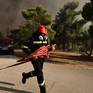 Antinero: Καταγγελία-μαμούθ για το μεγαλύτερο πρόγραμμα δασικής πρόληψης
