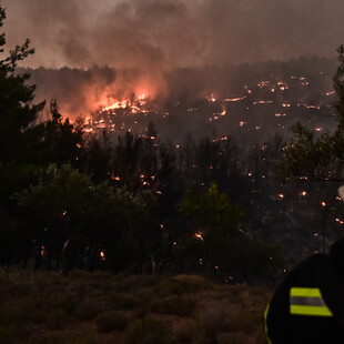 Φωτιά στον Ωρωπό: Συνελήφθη 70χρονος για εμπρησμό από αμέλεια