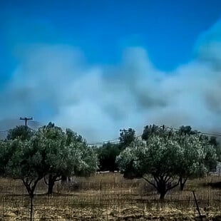 Σε ύφεση η φωτιά στο Αλιβέρι: Πως ξεκίνησε – Συνελήφθη ένας 60χρονος