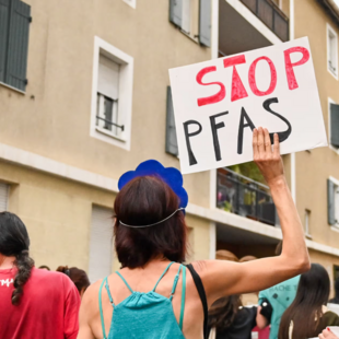 Επαναστατική ανακάλυψη: Εντερικά μικρόβια απομακρύνουν «παντοτινά χημικά» από το σώμα