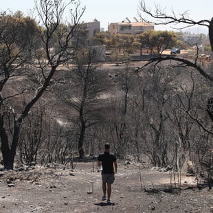 Meteo: Έως και 10 βαθμούς αυξημένη η θερμοκρασία στην επιφάνεια των καμένων εδαφών