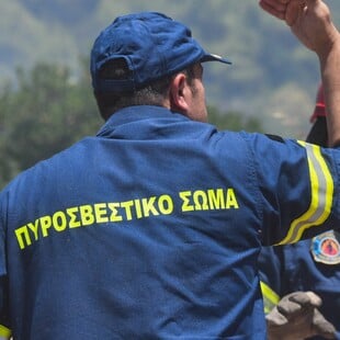 Φωτιά τώρα στη Λέσβο: Σπεύδει στο σημείο η Πυροσβεστική