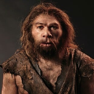 Οι Νεάντερταλ έτρωγαν σκουλήκια – Νέα μελέτη ανατρέπει όσα ξέραμε για τη διατροφή τους