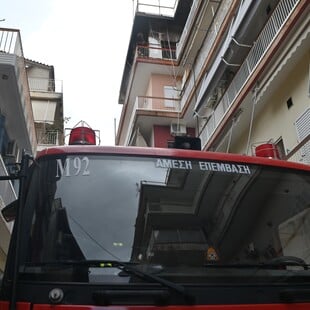 ΓΕΡΑΝΟΣ ΠΕΡΙΣΤΕΡΙ