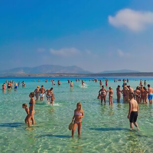 ΚΑΥΣΩΝΑΣ ΤΣΑΤΡΑΦΥΛΛΙΑΣ