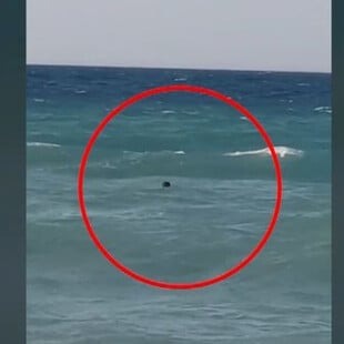 Κρήτη: Σερβιτόρος beach bar βούτηξε και έσωσε λουόμενο που παρασύρθηκε από τα ρεύματα