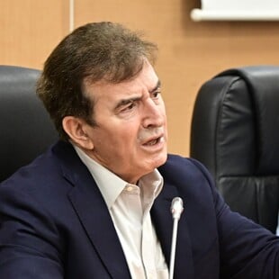 ΧΡΥΣΟΧΟΙΔΗΣ ΜΕΤΑΝΑΣΤΕΣ