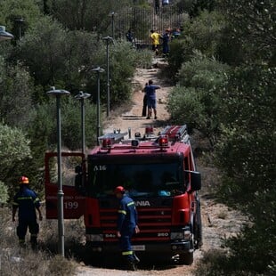 Φωτιά στου Ζωγράφου: Ξεκίνησε από αδήλωτα μελίσσια εντός της Πολυτεχνιούπολης