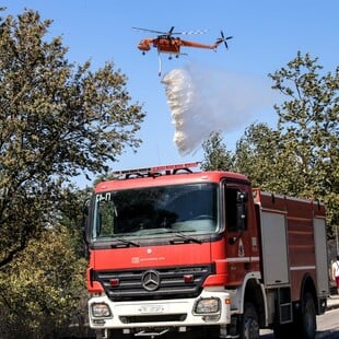 Φωτιά τώρα στα Μέγαρα