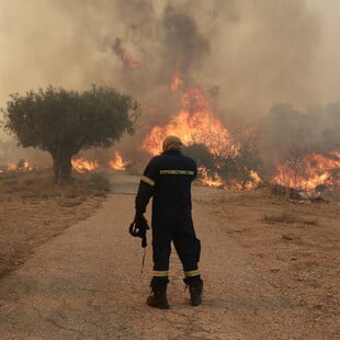 Μέγαρα: Συνελήφθη 41χρονος για την πυρκαγιά στο Κουμίντρι – Πρόστιμο 4.125 ευρώ