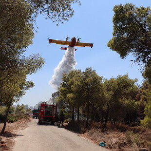 Φωτιά τώρα στον Κουβαρά Αττικής