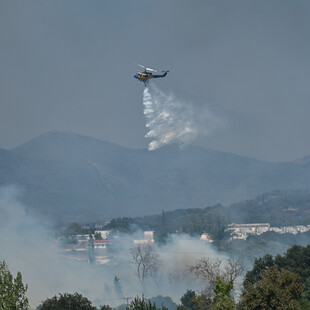 Φωτιά τώρα στην Ερμιόνη Αργολίδας