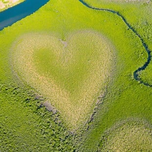 «The Heart of Voh»: 