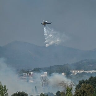 Φωτιές τώρα: Σε εξελιξη στα Καλάβρυτα - Οριοθετημένη στον Ελαιώνα Ηλείας