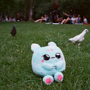 Curio: Τα λούτρινα παιχνίδια με τεχνητή νοημοσύνη που μιλούν στα παιδιά