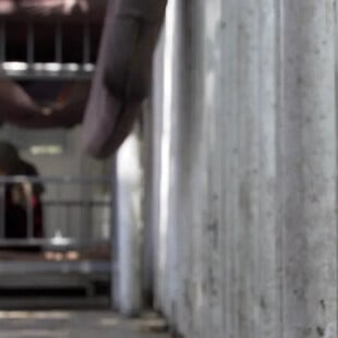 Αφγανιστάν: «Κανείς δεν έρχεται για εμάς» - Παγιδευμένες σε ψυχιατρείο γυναίκες που εκδιώχθηκαν από τα σπίτια τους 
