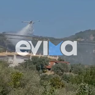 Φωτιά στην Εύβοια: Καίει κοντά σε σπίτια - Σε εξέλιξη οι προσπάθειες κατάσβεσης