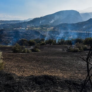 Φωτιές στην Πάτρα: Δορυφορικά δεδομένα δείχνουν αύξηση έως και 12°C στη θερμοκρασία εδάφους