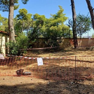 Άνοιξε για το κοινό το Άλσος Χωροφυλακής