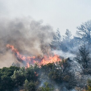 Φωτιά τώρα στο Σύνδενδρο Γρεβενών: Εστάλη 112 