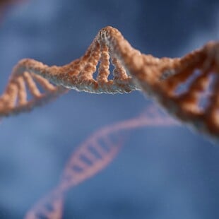 Αρχαίο DNA αποκαλύπτει το βακτήριο που προκάλεσε την πρώτη πανδημία στην ιστορία