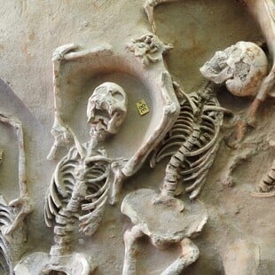 Μόνιμη έκθεση, στο μουσειακό κέλυφος των Δεσμωτών, του Φαλήρου