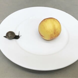 Juergen Teller: you are invited