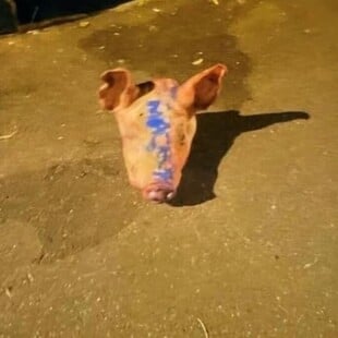 Γαλλία: Υποψίες για ρωσική ανάμειξη μετά την τοποθέτηση κεφαλιών γουρουνιών σε τζαμιά του Παρισιού