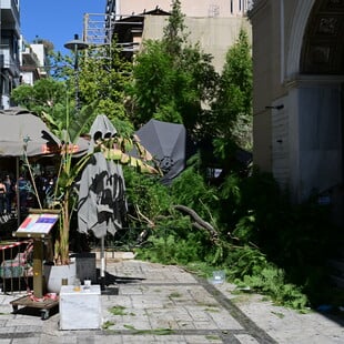 Πτώση μεγάλου δέντρου στο κέντρο της Αθήνας - Δύο τραυματίες